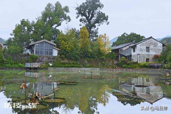 黄岩是哪个省哪个区(浙江省台州黄岩区人文自然风光介绍)-图片10